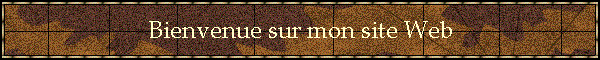 Bienvenue sur mon site Web